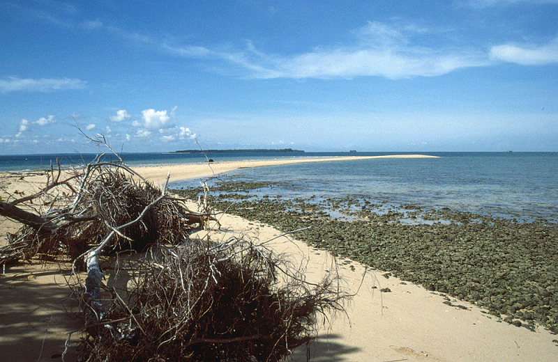 823_Op Pulau Selinkan, Sabah.jpg